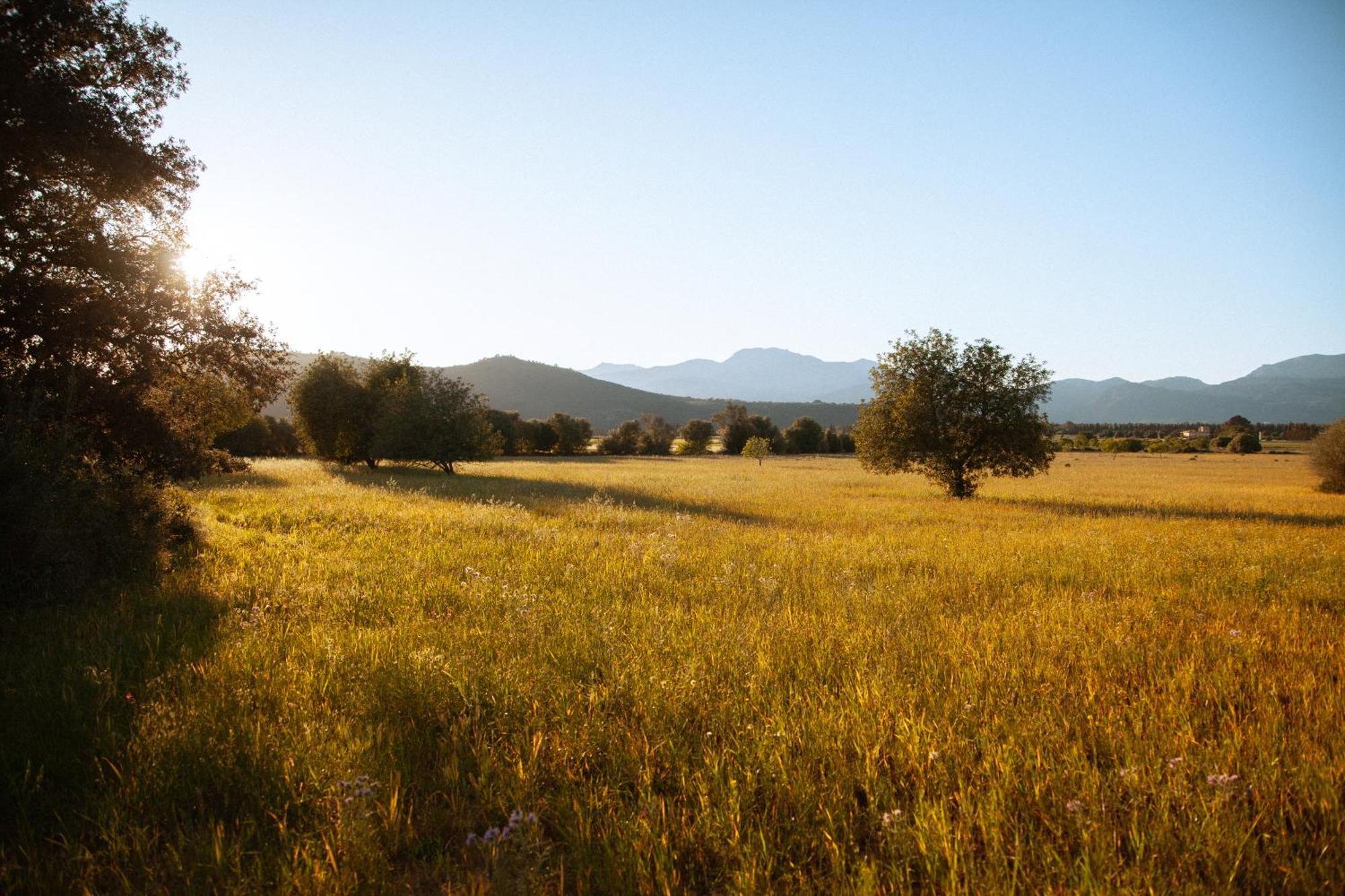 Affittacamere Casa Mona Turismo De Interior Llubí Esterno foto
