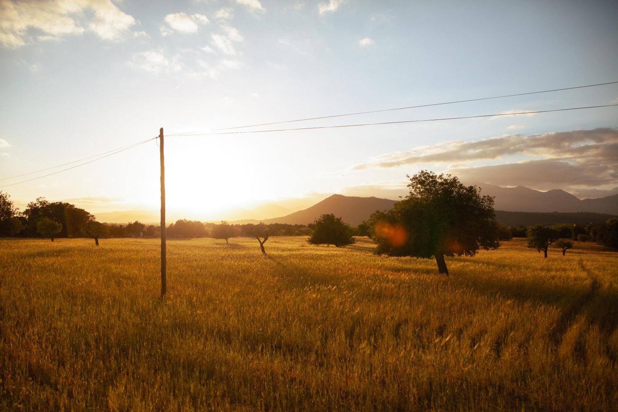 Affittacamere Casa Mona Turismo De Interior Llubí Esterno foto